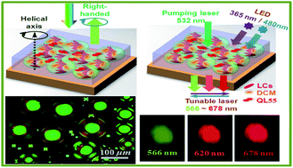 Graphical abstract: Wide tunable lasing in photoresponsive chiral liquid crystal emulsion