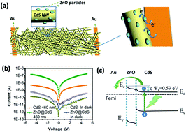Graphical abstract: Visible-light photodetector with enhanced performance based on a ZnO@CdS heterostructure