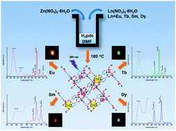 Graphical abstract: Lanthanide ions (Eu3+, Tb3+, Sm3+, Dy3+) activated ZnO embedded zinc 2,5-pyridinedicarboxylic metal–organic frameworks for luminescence application
