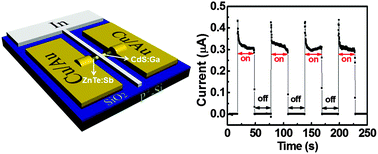 Graphical abstract: Core–shell CdS:Ga–ZnTe:Sb p–n nano-heterojunctions: fabrication and optoelectronic characteristics