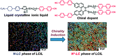 Graphical abstract: Liquid crystallinity-embodied imidazolium-based ionic liquids and their chiral mesophases induced by axially chiral tetra-substituted binaphthyl derivatives