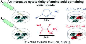 Graphical abstract: An unexpected increase of toxicity of amino acid-containing ionic liquids