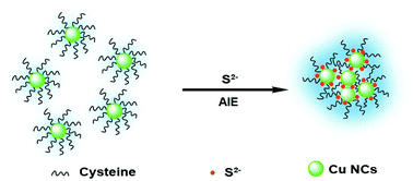 Graphical abstract: A highly selective fluorescent probe for sulfide ions based on aggregation of Cu nanocluster induced emission enhancement