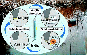 Graphical abstract: Direct arsenic(iii) sensing by a renewable gold plated Ir-based microelectrode