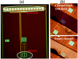 Graphical abstract: Self-calibrating highly sensitive dynamic capacitance sensor: towards rapid sensing and counting of particles in laminar flow systems