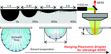 Graphical abstract: A hanging plasmonic droplet: three-dimensional SERS hotspots for a highly sensitive multiplex detection of amino acids