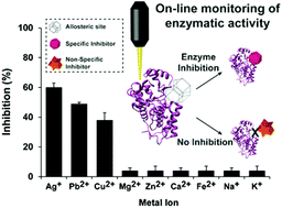 Graphical abstract: Detection of trace heavy metal ions in water by nanostructured porous Si biosensors