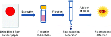 Graphical abstract: A simple assay for glutathione in whole blood