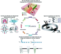 Graphical abstract: Microfluidics for research and applications in oncology