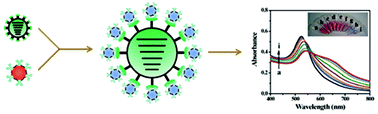 Graphical abstract: Colorimetric detection of influenza A virus using antibody-functionalized gold nanoparticles