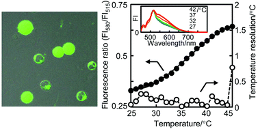 Graphical abstract: A cationic fluorescent polymeric thermometer for the ratiometric sensing of intracellular temperature