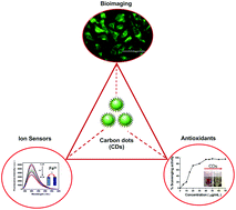 Graphical abstract: Green synthesis of multifunctional carbon dots from coriander leaves and their potential application as antioxidants, sensors and bioimaging agents