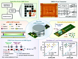 Graphical abstract: A palm-size μNMR relaxometer using a digital microfluidic device and a semiconductor transceiver for chemical/biological diagnosis