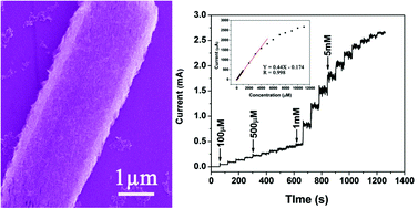 Graphical abstract: Nanoporous copper oxide ribbon assembly of free-standing nanoneedles as biosensors for glucose