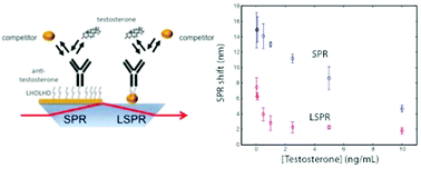 Graphical abstract: Plasmonic sensors for the competitive detection of testosterone
