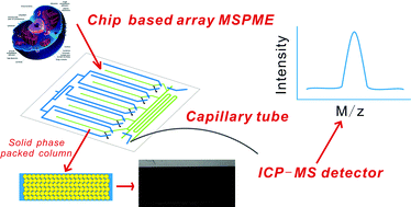 Graphical abstract: Chip-based array magnetic solid phase microextraction on-line coupled with inductively coupled plasma mass spectrometry for the determination of trace heavy metals in cells
