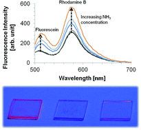 Graphical abstract: Incorporation of a FRET dye pair into mesoporous materials: a comparison of fluorescence spectra, FRET activity and dye accessibility