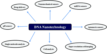 Graphical abstract: Hybrid, multiplexed, functional DNA nanotechnology for bioanalysis