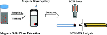 Graphical abstract: Magnetic solid phase extraction coupled with desorption corona beam ionization-mass spectrometry for rapid analysis of antidepressants in human body fluids
