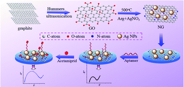 Graphical abstract: Silver nanoparticles anchored on nitrogen-doped graphene as a novel electrochemical biosensing platform with enhanced sensitivity for aptamer-based pesticide assay