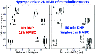 Graphical abstract: Hyperpolarized NMR of plant and cancer cell extracts at natural abundance