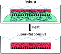 Graphical abstract: Removable interpenetrating network enables highly-responsive 2-D photonic crystal hydrogel sensors