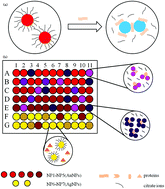 Graphical abstract: Colorimetric sensor array with unmodified noble metal nanoparticles for naked-eye detection of proteins and bacteria