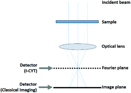 Graphical abstract: An image cytometer based on angular spatial frequency processing and its validation for rapid detection and quantification of waterborne microorganisms