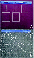 Graphical abstract: Chemical contrast observed in thermal images of blood-stained fabrics exposed to steam