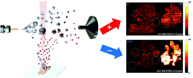 Graphical abstract: Polarity switching mass spectrometry imaging of healthy and cancerous hen ovarian tissue sections by infrared matrix-assisted laser desorption electrospray ionization (IR-MALDESI)
