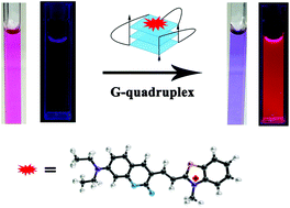 Graphical abstract: Colorimetric and fluorescence detection of G-quadruplex nucleic acids with a coumarin–benzothiazole probe