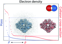 Graphical abstract: EM∩IM: software for relating ion mobility mass spectrometry and electron microscopy data