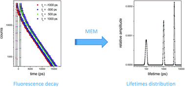 Graphical abstract: Improved maximum entropy method for the analysis of fluorescence spectroscopy data: evaluating zero-time shift and assessing its effect on the determination of fluorescence lifetimes