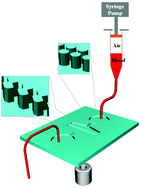 Graphical abstract: Deformability measurement of red blood cells using a microfluidic channel array and an air cavity in a driving syringe with high throughput and precise detection of subpopulations