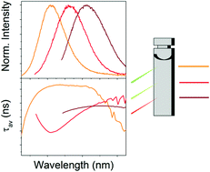 Graphical abstract: Probing DNA-stabilized fluorescent silver nanocluster spectral heterogeneity by time-correlated single photon counting