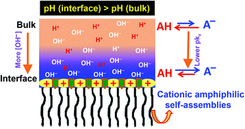 Graphical abstract: A simple interfacial pH detection method for cationic amphiphilic self-assemblies utilizing a Schiff-base molecule