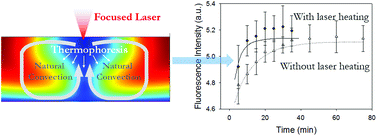Graphical abstract: Enhancement of binding kinetics on affinity substrates by laser point heating induced transport