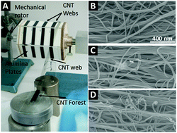 Graphical abstract: Surface activation of CNT Webs towards layer by layer assembly of biosensors