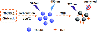 Graphical abstract: Highly selective detection of 2,4,6-trinitrophenol by using newly developed terbium-doped blue carbon dots