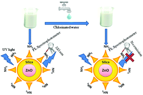 Graphical abstract: Luminescent ZnO quantum dots as an efficient sensor for free chlorine detection in water