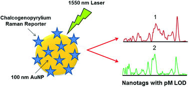 Graphical abstract: Sensitive SERS nanotags for use with 1550 nm (retina-safe) laser excitation