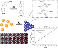 Graphical abstract: Colorimetric detection of bisphenol A using Au–Fe alloy nanoparticle aggregation