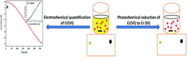 Graphical abstract: Electrochemical detection and photochemical detoxification of hexavalent chromium (Cr(vi)) by Ag doped TiO2 nanoparticles