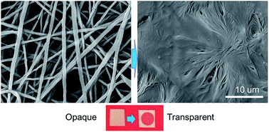 Graphical abstract: An electrospun micro/nanofibrous mesh based nontoxic sensor for optical detection of high humidity