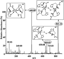 Graphical abstract: Investigation of the structural characterization and reversible oxygenation mechanism of oxygenated cobalt–3-(4-thiazolyl)-l-alanine and cobalt–histidine complexes using electrospray tandem mass spectrometry