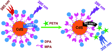 Graphical abstract: Detection of PETN and RDX using a FRET-based fluorescence sensor system