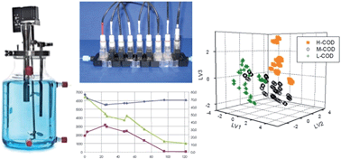 Graphical abstract: Potentiometric and hybrid electronic tongues for bioprocess monitoring – an overview