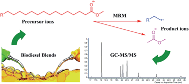 Graphical abstract: Quantification of FAMEs in biodiesel blends of various sources by gas chromatography tandem mass spectrometry