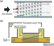 Graphical abstract: Hydrodynamic nonadhesive cell retention in a microfluidic circuit for stressless suspension culture