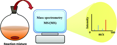 Graphical abstract: Monitoring of chemical transformations by mass spectrometry